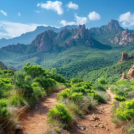 Cap Esterel Allee Des Fleurs - Climatise 5 Personnes Vue Appartement Saint-Raphaël